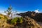 Hiking Pico Ruivo and Pico do Arierio - Madeira Portugal