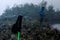 Hiking pole stuck in the ground and a hiker in the background watching a small lake surrounded by paramo vegetation with bushes