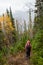 Hiking rainy autumn fall boreal forest taiga trail