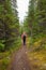 Hiking rainy autumn fall boreal forest taiga trail