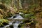 Hiking in the river ravenna canyon in the black forest in germany