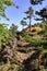 Hiking route in the Serra da Estrela near Manteigas, Portugal