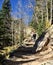 Hiking a rugged trail in the Rockies