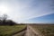 Hiking sandy dirt path in the Suboticka pescara, near the Serbia city of Subotica, in Vojvodina.