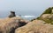 A hiking shoe on a rock at the end of the Camino de Santiago in Finisterre.