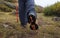 Hiking shoes in alpine environment