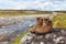 Hiking shoes of a hiker on a rock