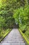 Hiking staircase in steep slope and hydrangeas flowers in Mount Nokogiri.