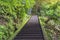 Hiking staircase in steep slope and hydrangeas flowers in Mount Nokogiri.