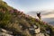 Hiking in the stoned mountains hills covered with flowering rhododendron during sunset in Carpathians