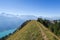 Hiking in the stunning Swiss mountains, view of the alps, green grass, forest swiand footpath