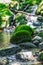 Hiking through swiss alps, green moss on a stone in a small river