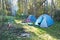 Hiking tents, bonfire and bicycles in forest