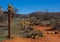 Hiking to Bell Rock in Sedona