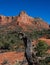 Hiking to Bell Rock in Sedona