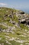 Hiking On Top Of Mt. Mansfield