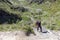 Hiking at the Torres del Paine National Park, Magallanes Region, southern Chile