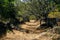 Hiking track Camino Real from Barichara to Guane