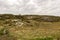 Hiking track leading to top of Mastravarden hill on Mosteroy island