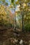 Hiking trail in Acadia national park