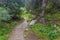 Hiking trail in Ala Archa valley in Kyrgyzst