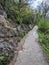 Hiking trail along Great Smoky Mountains