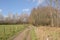 Hiking trail along meadows and forest in the flemish countryside