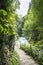 Hiking trail along the mountain river on natural background