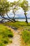 Hiking Trail Along The Shore of Anaehoomalu Bay