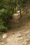 Hiking trail along the shoreline of Cliff Pond in Massachusetts