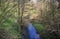 Hiking trail alongside river in the forest, Montzen, Belgium, Europe