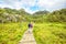 Hiking trail and alpine landscape of the Preikestolen