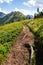 Hiking trail in Alps, Austria, life way change happiness concept