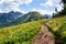 Hiking trail in Alps, Austria, life way change happiness concept