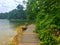 Hiking trail around Macritchie reservoir Singapore