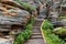 Hiking trail in Athabasca river valley, Alberta, Canada