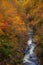 Hiking trail in Autumn , Fukushima Prefecture with waterfall