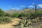 Hiking Trail in Bear Canyon in Tucson, AZ