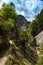 Hiking Trail Beneath Wild Mountain River In Ã–tschergrÃ¤ben in Austria