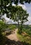 Hiking trail, Bernkastel, Moselle, Germany