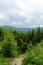 Hiking trail in Bieszczady Mountains, Poland