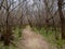 Hiking Trail in Black Walnut Bottom Bethania, North Carolina