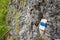 Hiking trail blue paint marking on a rock