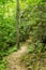 Hiking Trail in the Blue Ridge Mountain of Virginia, USA