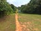 Hiking trail in Bukit Timah nature reserve