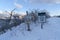 Hiking trail buried in snow during winter at the terrain of Wasatch Mountain