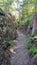 Hiking Trail for Bush Walking in the Strickland State Forest New South Wales Australia. Australian Bush Trail