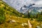 Hiking Trail in the Cascade Canyon - Grand Teton National Park