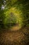 Hiking trail on an cloudy autumn day