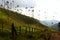 Hiking trail in Cocora valley. Los Nevados National Natural Park. Quindio department. Colombia